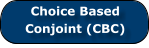 Choice Based     Conjoint (CBC)
